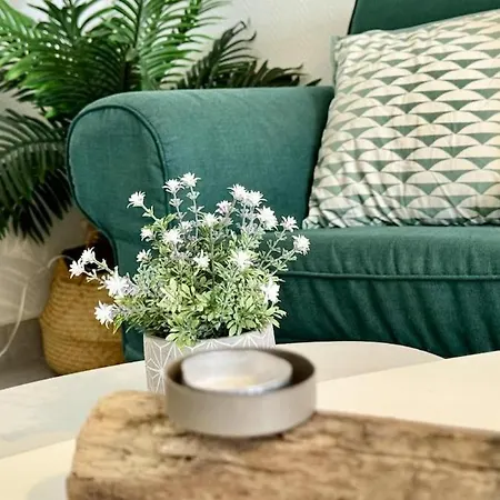 Tete En L'air- Cocon Lumineux- Centre Muret- Parking Et Commodites Muret